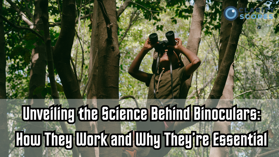 Unveiling the Science Behind Binoculars: How They Work and Why They’re Essential for Birdwatching and Nature Observation