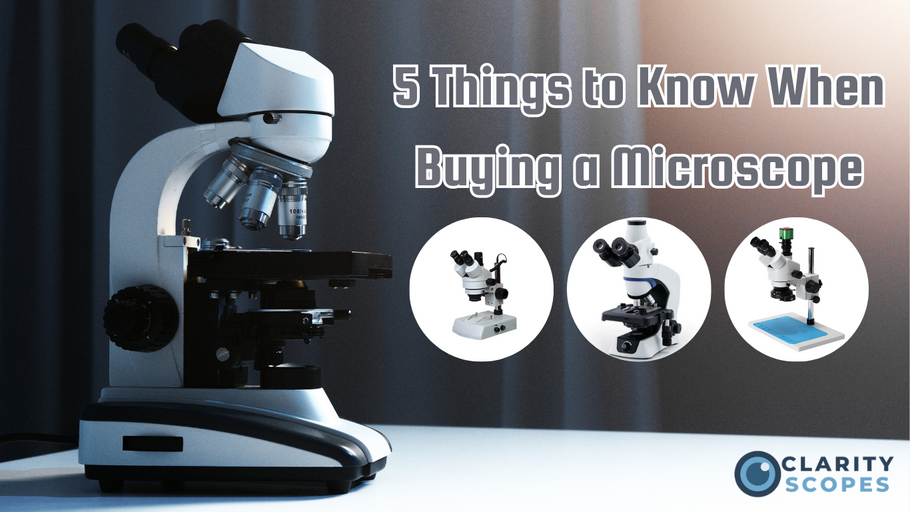 5 Things to Know When Buying a Microscope