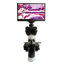 Load image into Gallery viewer, RACTOR OPTICA RO-SW1001 Binocular Compound Biological Microscope (7978143482113)