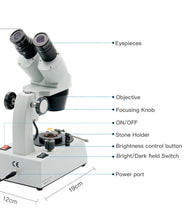 Load image into Gallery viewer, RACTOR OPTICA RO-U2-19 Gemological &amp; Jewelry Binocular Microscope (7981003014401)